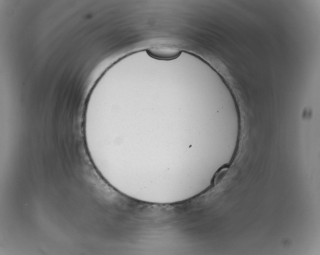 X0000114410912200911061557