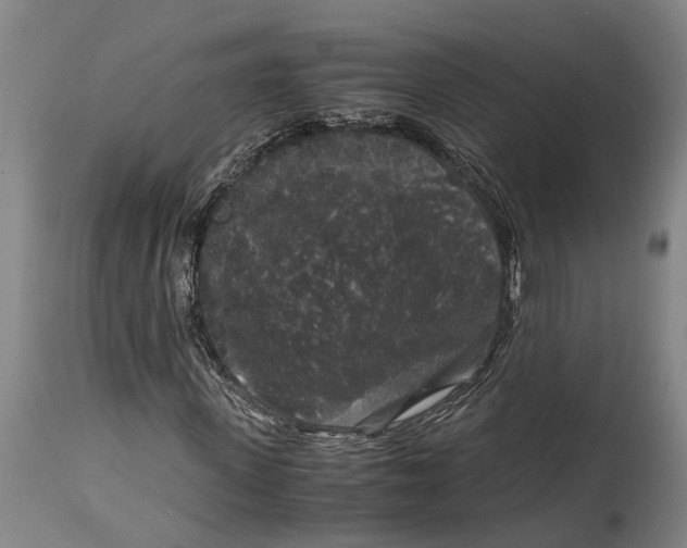 X0000114410915200911061557