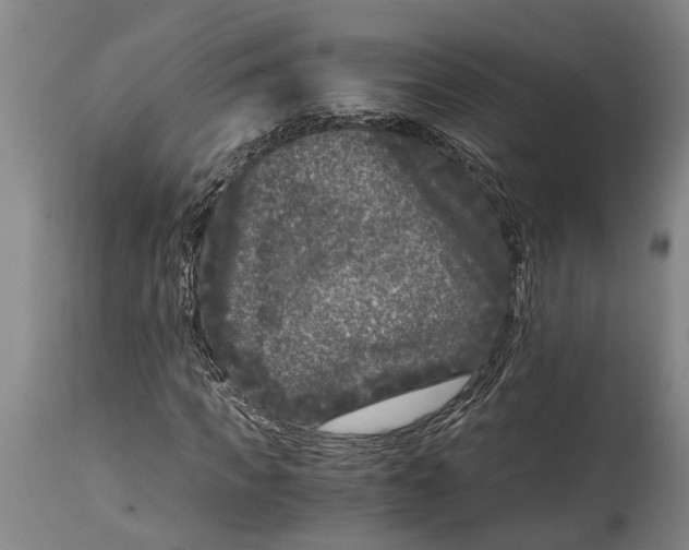 X0000114410917200911061557