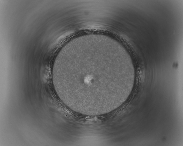 X0000114410918200911061557