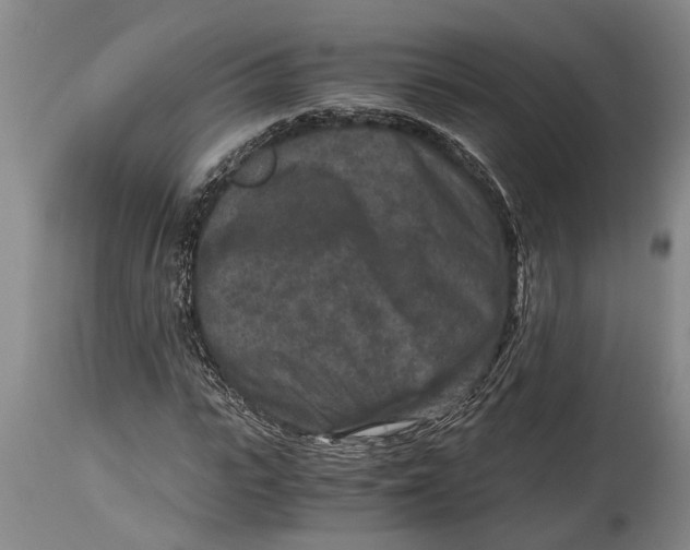 X0000114410919200911061557