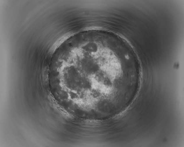 X0000114410921200911061557