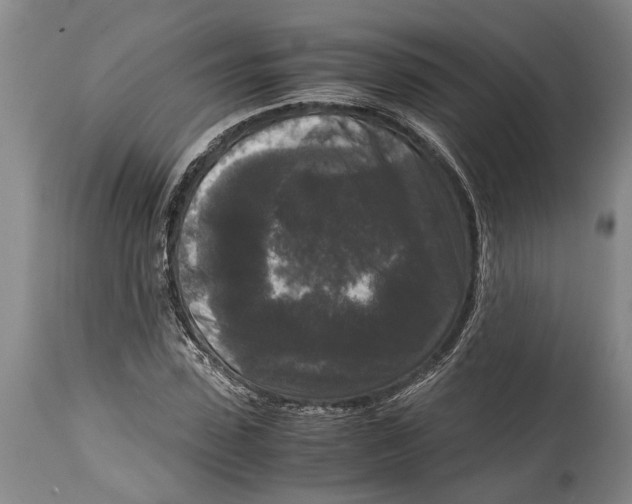 X0000114410923200911061557