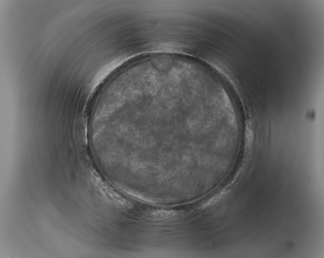 X0000114410925200911061557