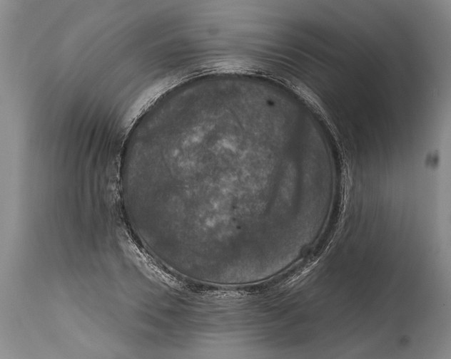 X0000114410930200911061557