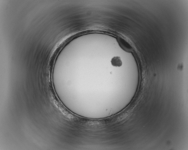 X0000114410931200911061557