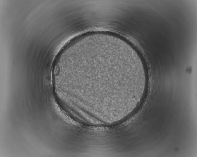 X0000114410934200911061557