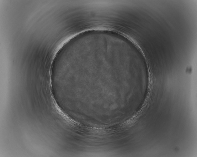 X0000114410935200911061557