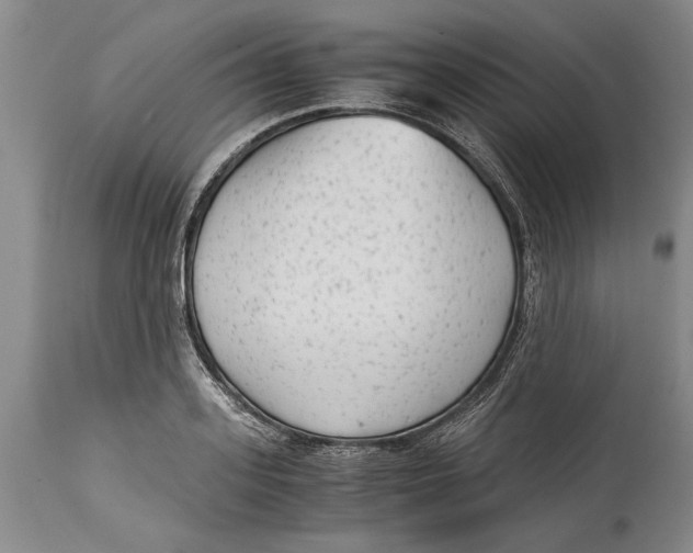 X0000114410939200911061557