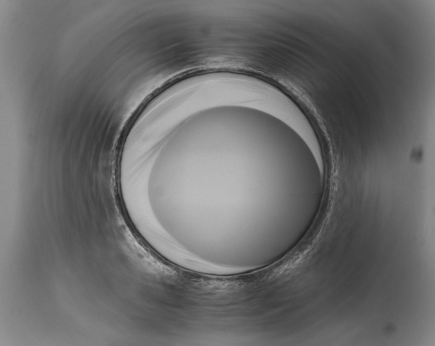 X0000114410941200911061557