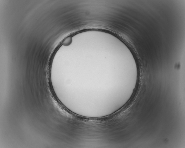 X0000114410942200911061557