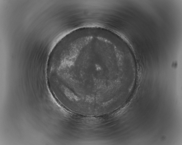 X0000114410943200911061557