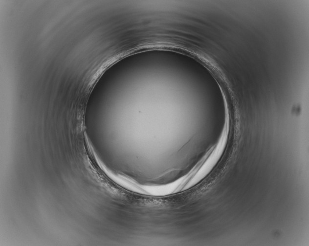 X0000114410945200911061557