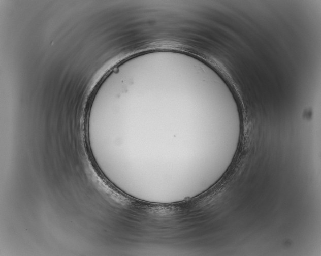 X0000114410947200911061557