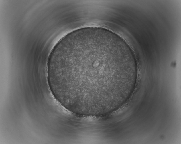 X0000114410950200911061557