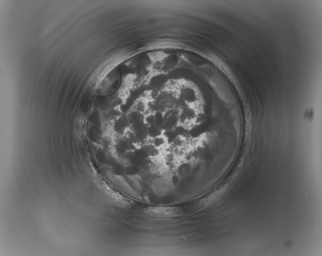 X0000114410953200911061557