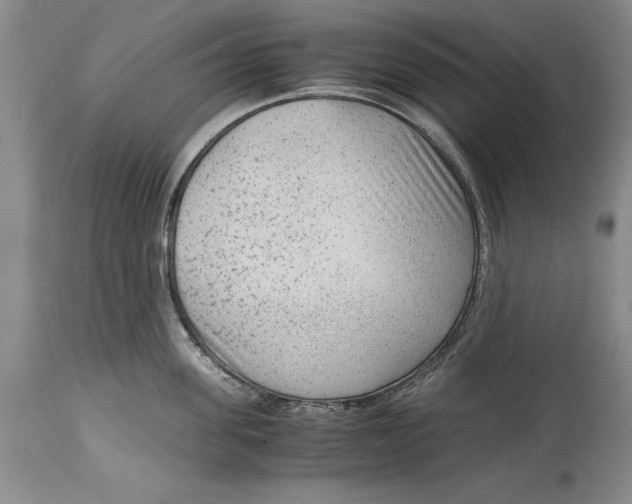 X0000114410955200911061557