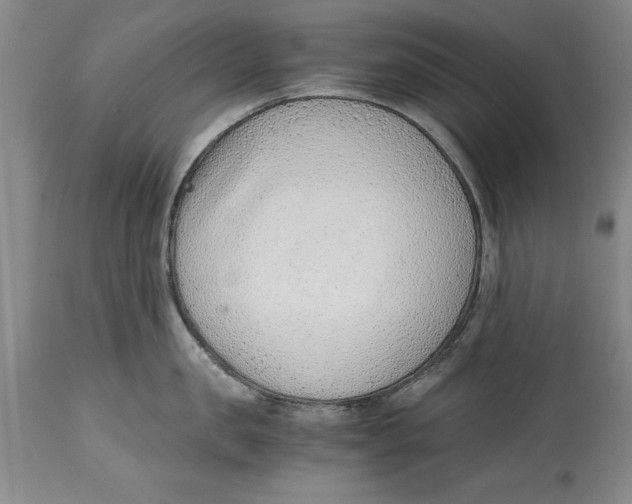 X0000114410957200911061557