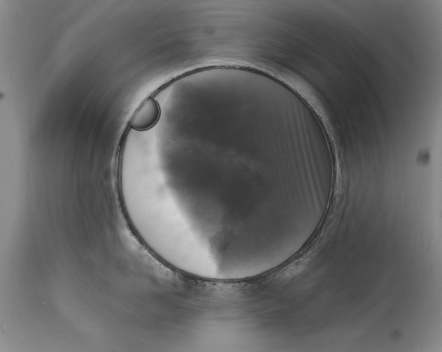 X0000114410958200911061557