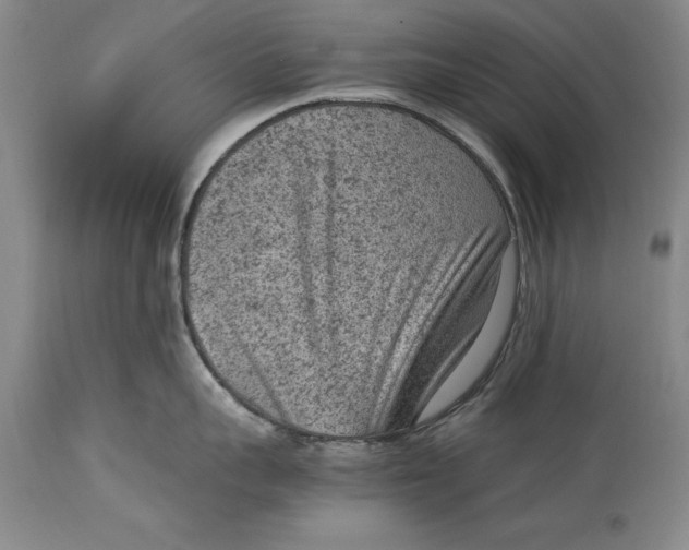 X0000114410959200911061557