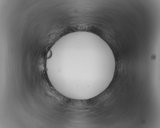 X0000114410962200911061556