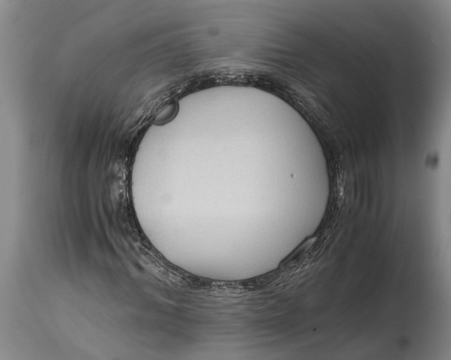 X0000114410964200911061556