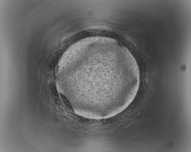 X0000114410965200911061556