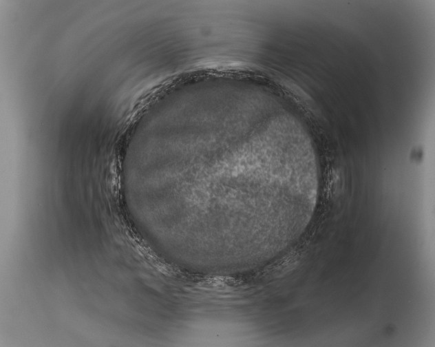 X0000114410966200911061556