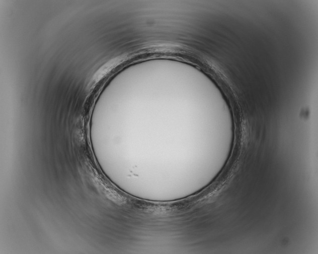 X0000114410970200911061556