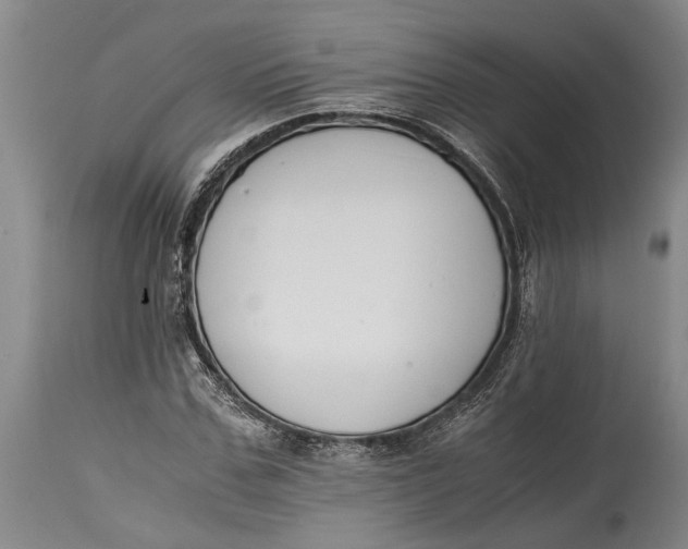 X0000114410971200911061556