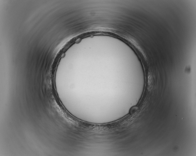 X0000114410972200911061556