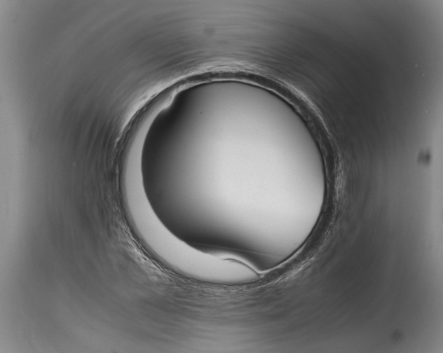 X0000114410973200911061556