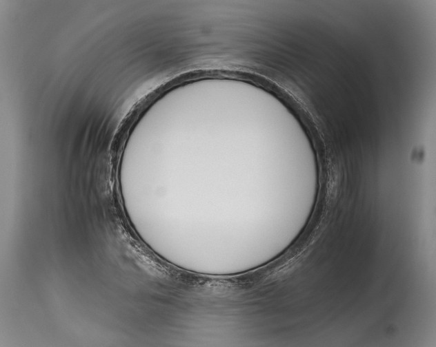 X0000114410974200911061556