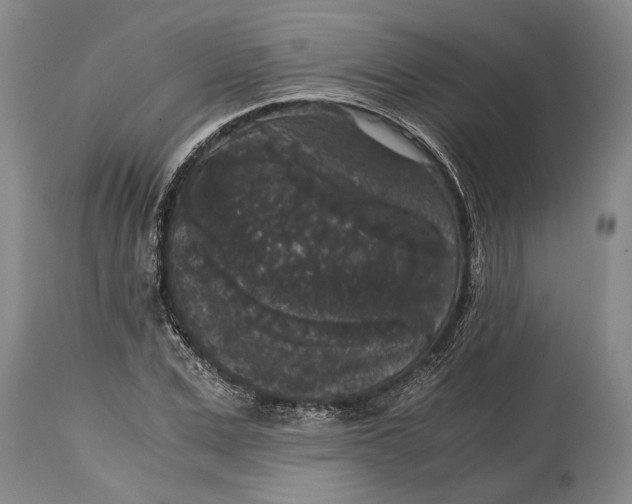 X0000114410975200911061556