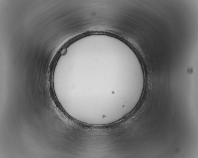 X0000114410976200911061556