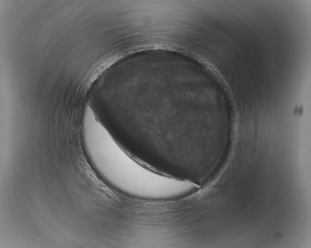 X0000114410977200911061556