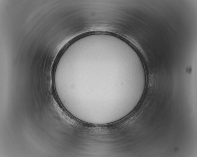 X0000114410980200911061556