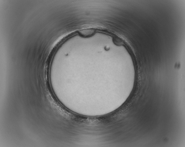 X0000114410983200911061556