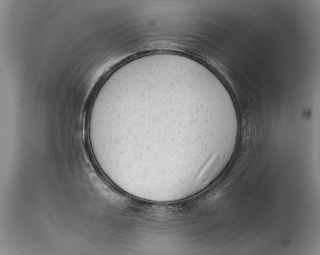 X0000114410987200911061556