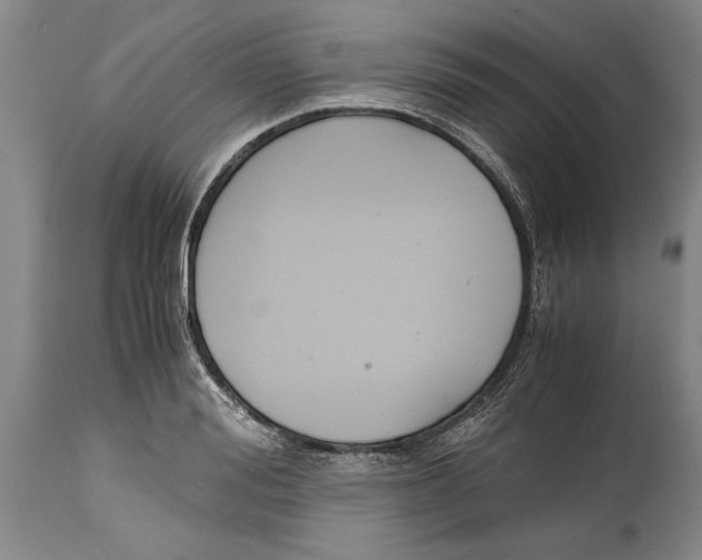 X0000114410988200911061556