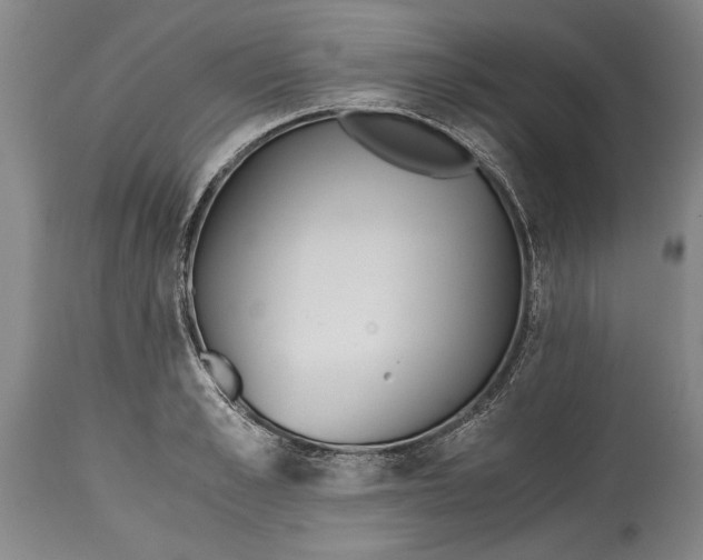 X0000114410989200911061556