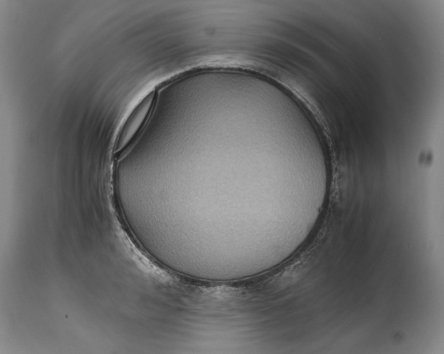 X0000114410992200911061556