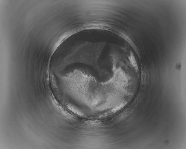 X0000114410994200911061556