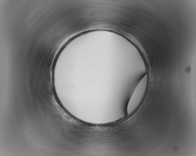 X0000114410996200911061556