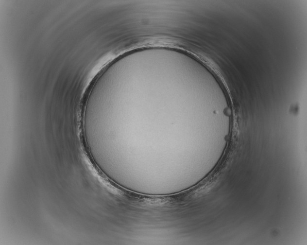 X0000114410997200911061556