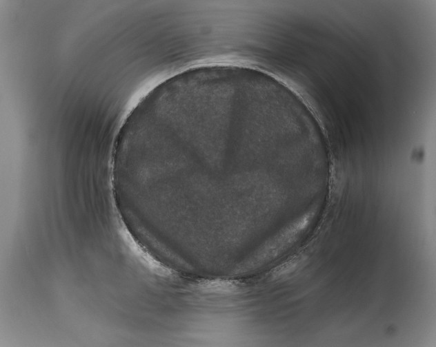 X0000114410998200911061556