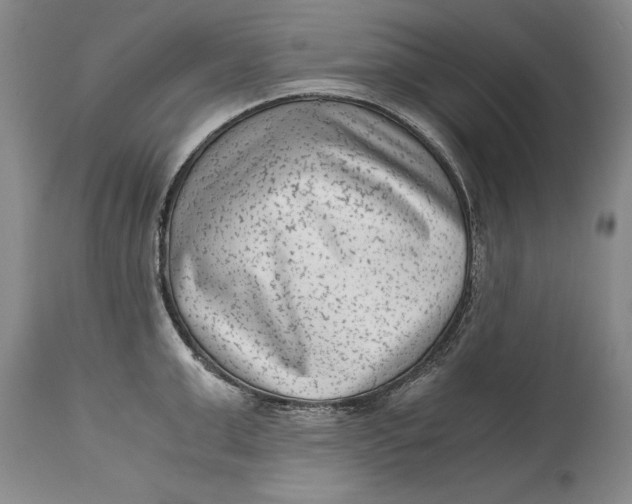 X0000114410999200911061556