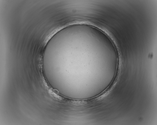 X0000114411001200911061556