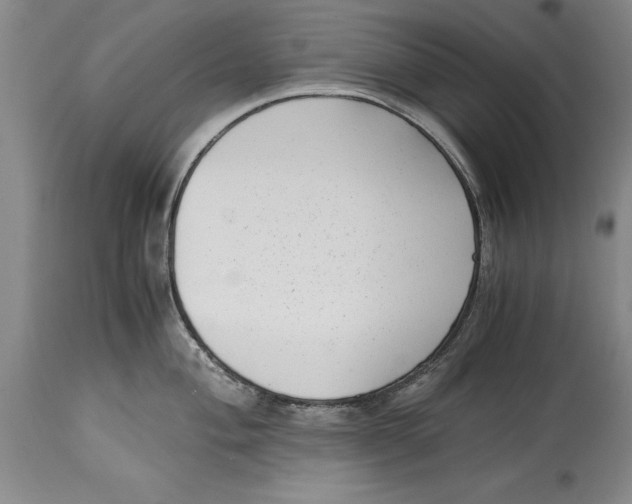 X0000114411004200911061556