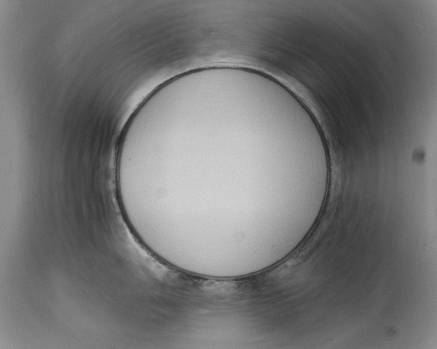 X0000114411006200911061556